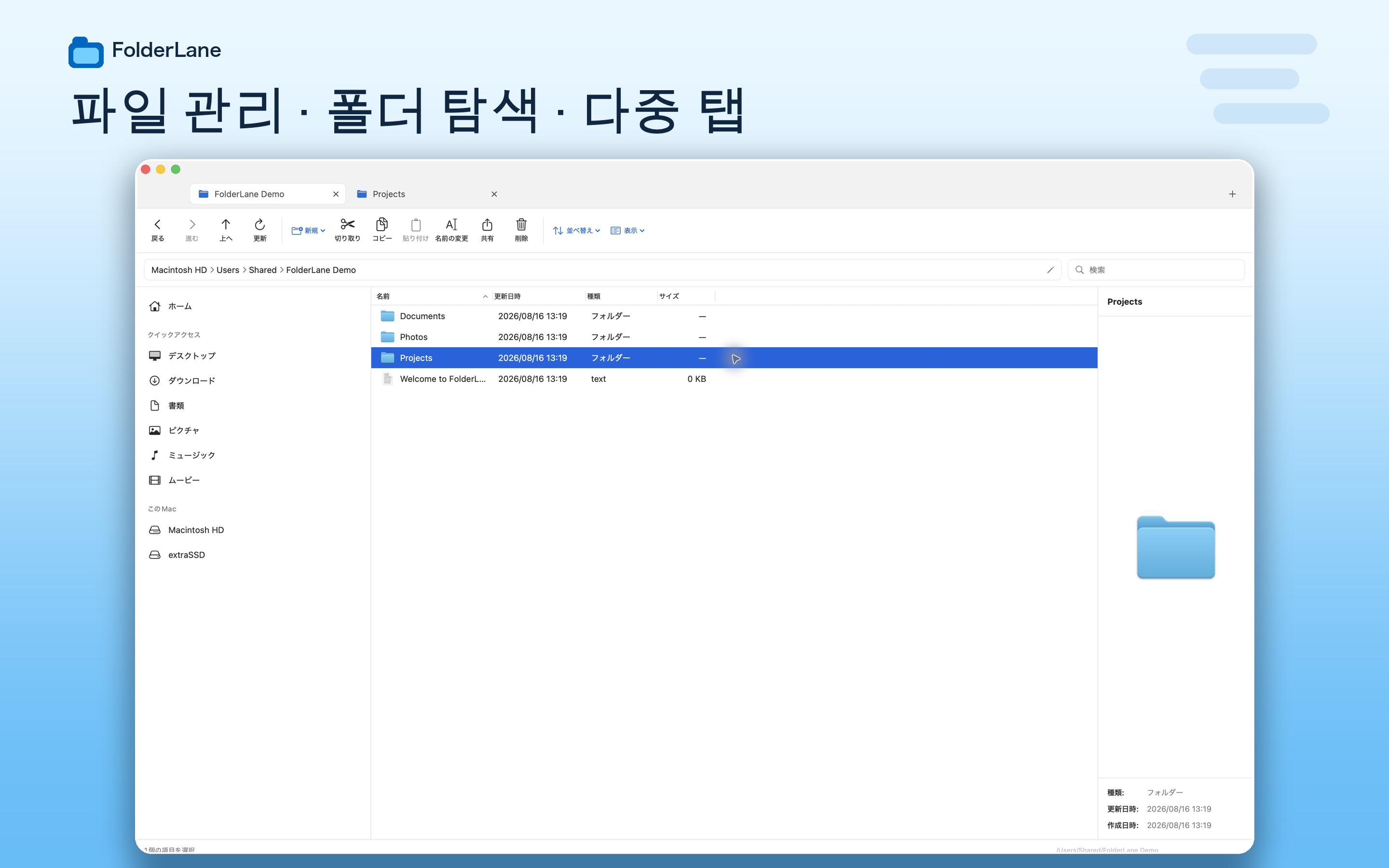FolderLane 세부 목록